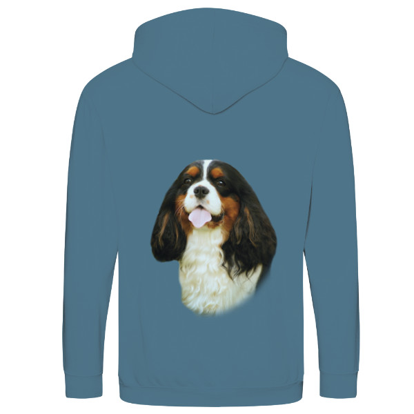 Kavalír King Charles Španěl