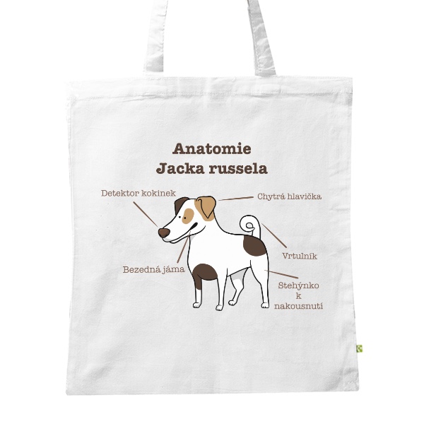 Anatomie jacka russela