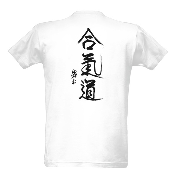 Aikido v českém slovníku: Umění pro život