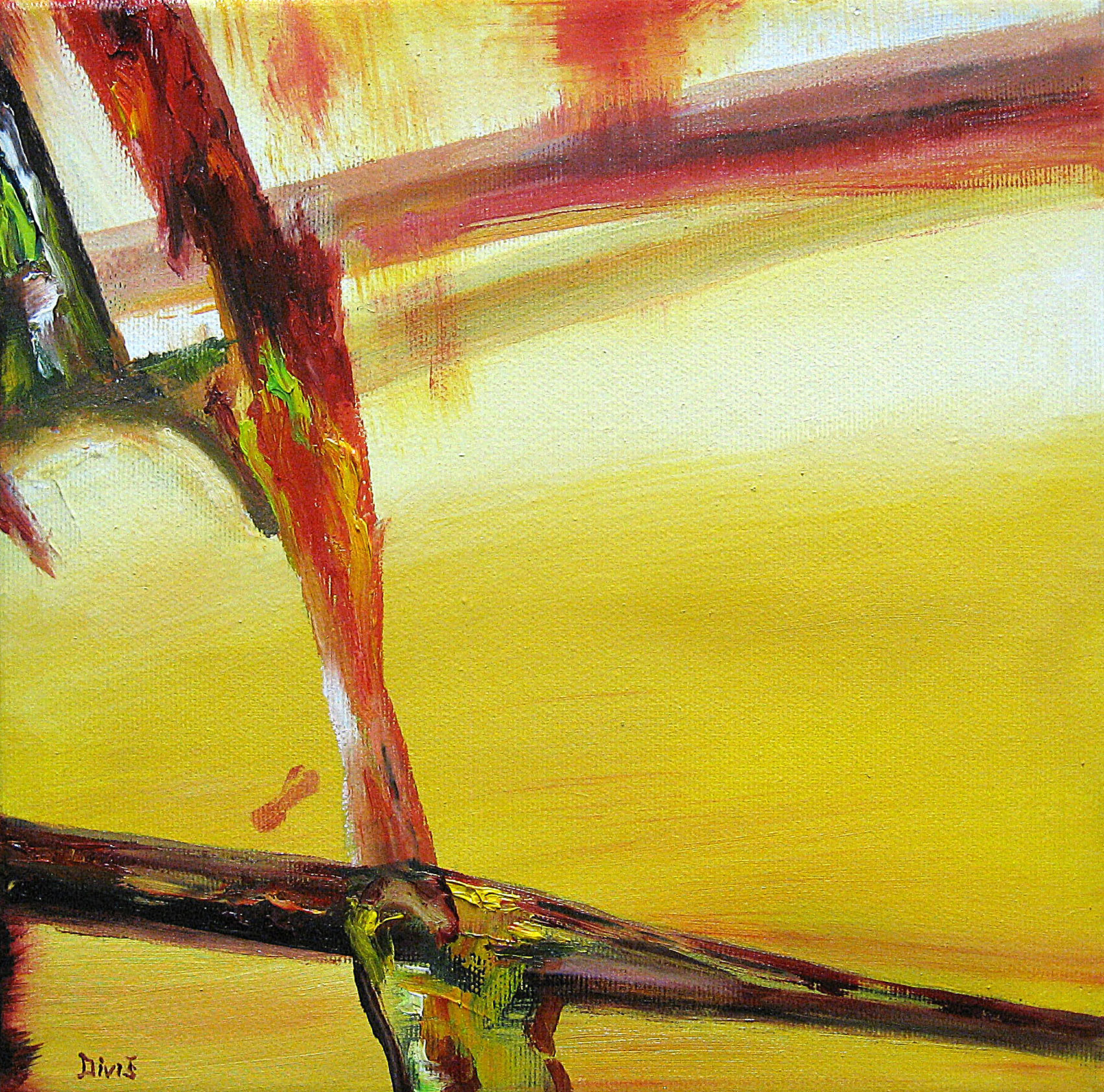 Inteligence kapalného skupenství