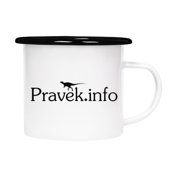 Plecháčik- smaltový lem s potlačou Plecháček Pravěk.info