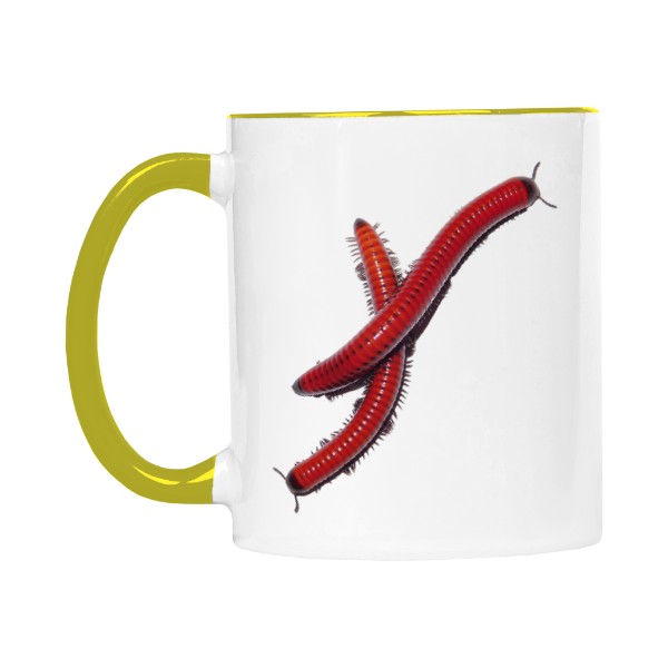 Centrobolus annulatus