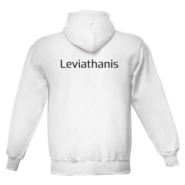 Pánská mikina s kapucí