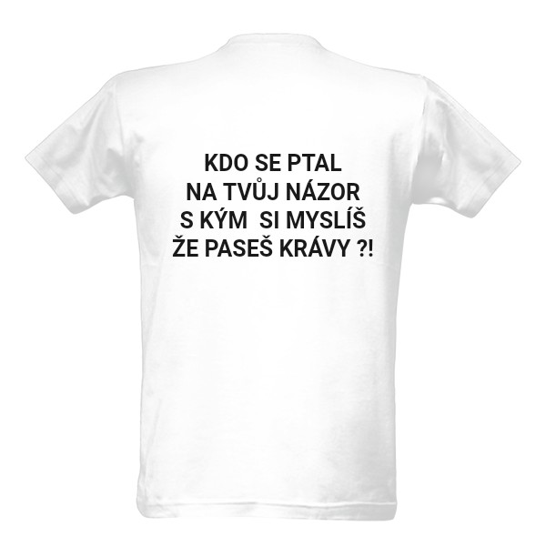 Kdo se ptal na tvůj nazor