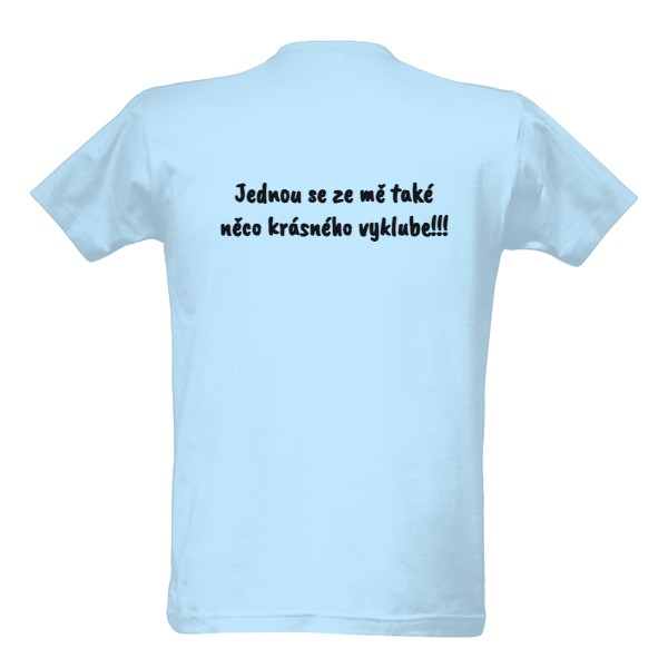 Motýlí kukla