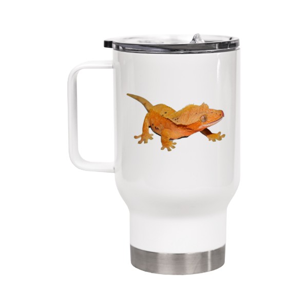 Correlophus ciliatus