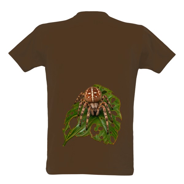Spider Křižák 