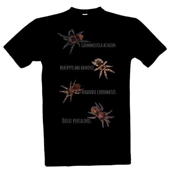 T-shirt A mix of tarantulas with names