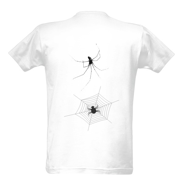 Spider-Pavouk