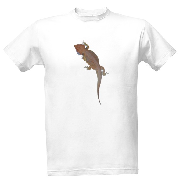 Tričko s potiskem Agama vousatá