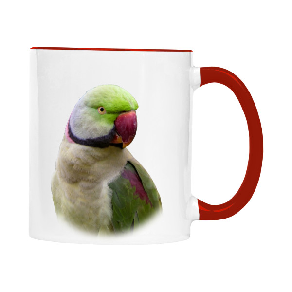 Hrnek malý barevný s potiskem Alexandr vousatý