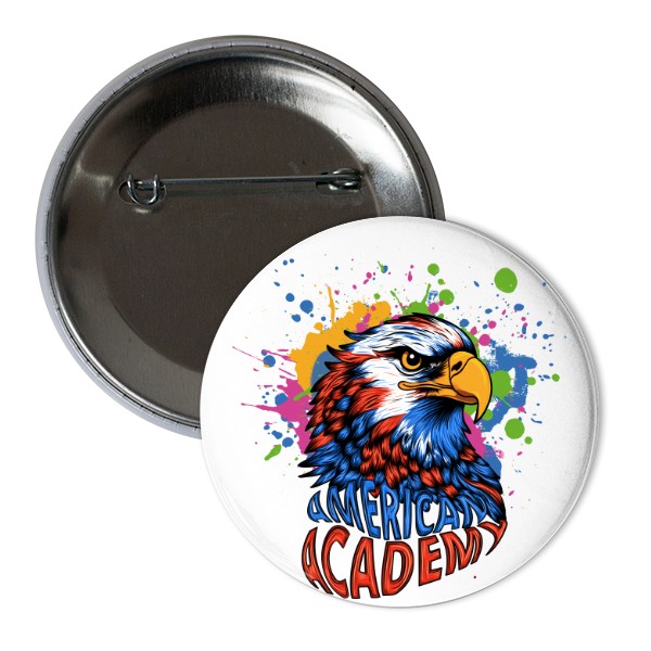 American Academy colored pin