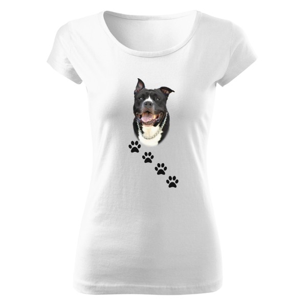 Americký stafordšírský teriér 