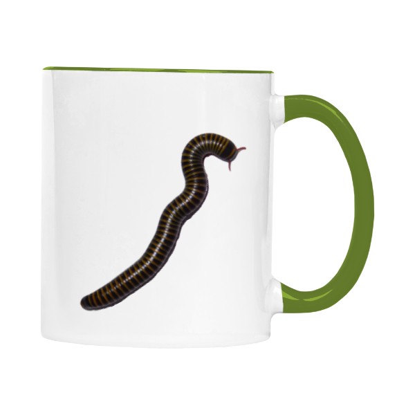 Cup colourful Anadenobolus monilicornis