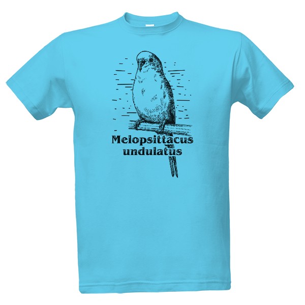 Tričko s potiskem Andulka