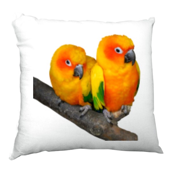 Polštář saténový s potiskem Aratinga sluneční