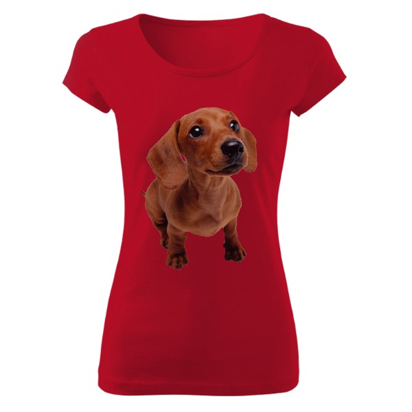 Tričko s potiskem jezevčík6