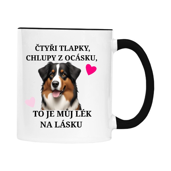 Aust. ovčák - Lék na lásku