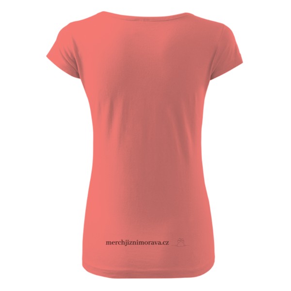 Co se stalo ve Strážnici