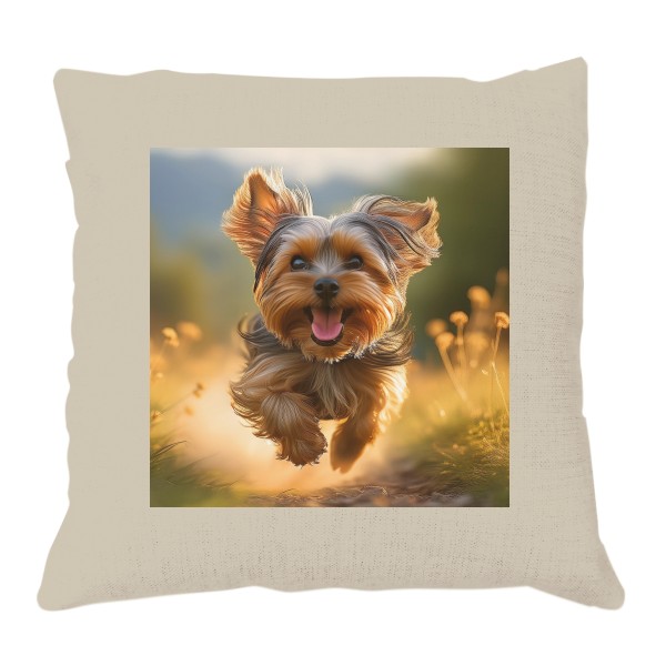 Běžící jorkšírek v letní přírodě