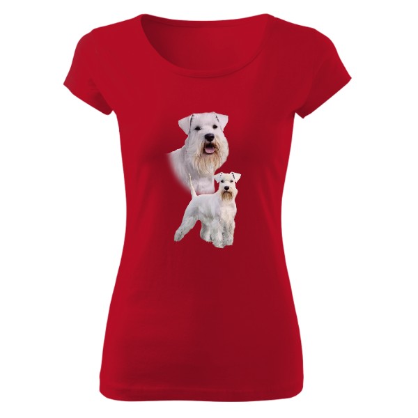 Malý bílý knírač