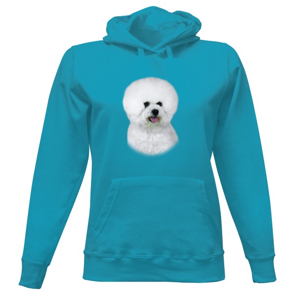 Dámská mikina s kapucí s potiskem Bišonek