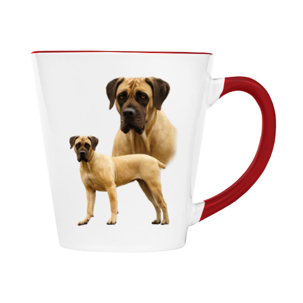  Boerboel 