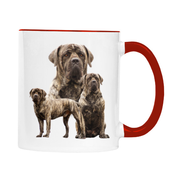  Boerboel 