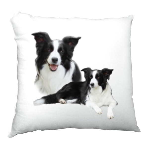 Polštář saténový s potiskem Border kolie 