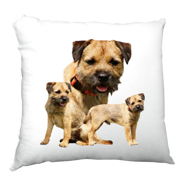 Vankúš saténový s potlačou Border teriér 