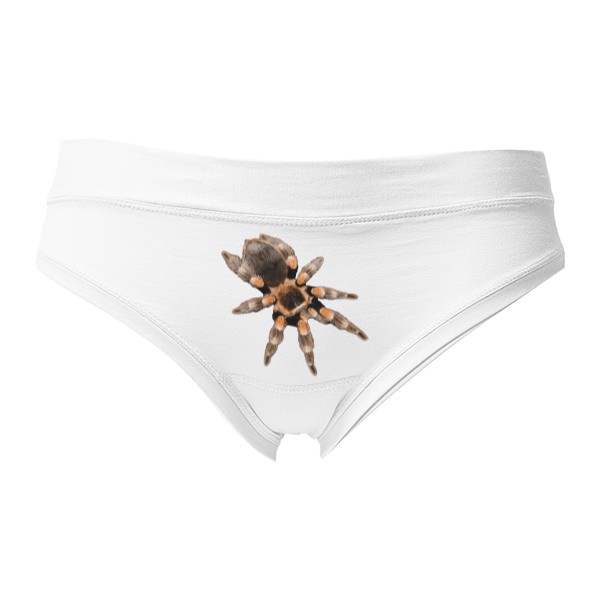 Tanga - Sale Brachypelma hamorii (ex.smithi)