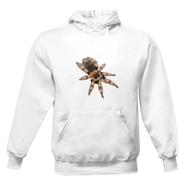 Men's hoodie s potiskem Brachypelma hamorii (ex.smithi)