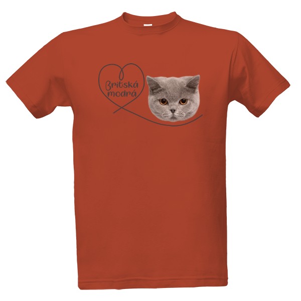 Britská modrá kočka