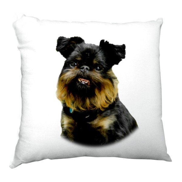 Satin Pillow s potiskem Nový produkt