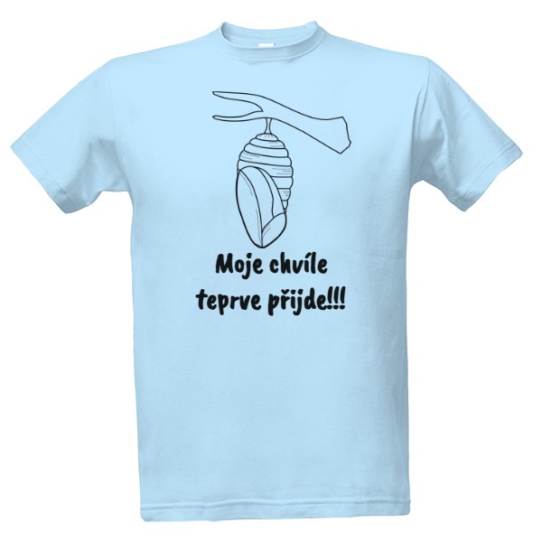 T-shirt butterfly pupa