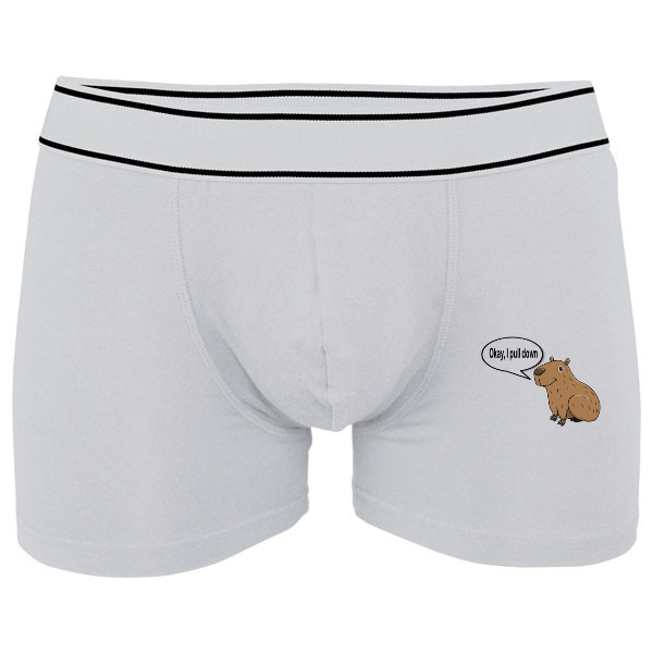 Capybara Boxers