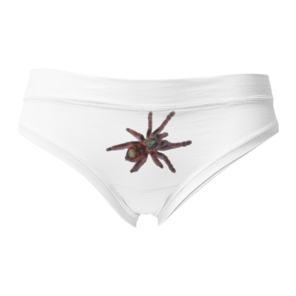 Tanga - Sale Caribena versicolor