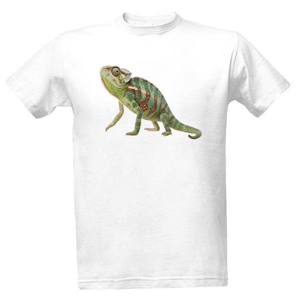 Chameleon kukuč