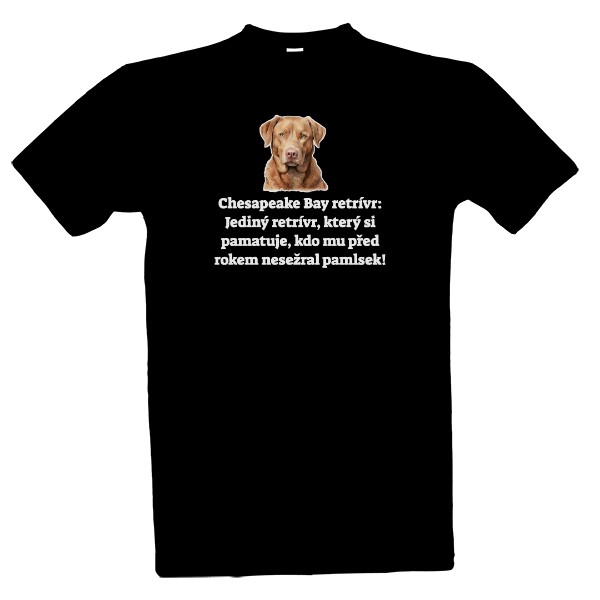 Chesapeake bay paměť 