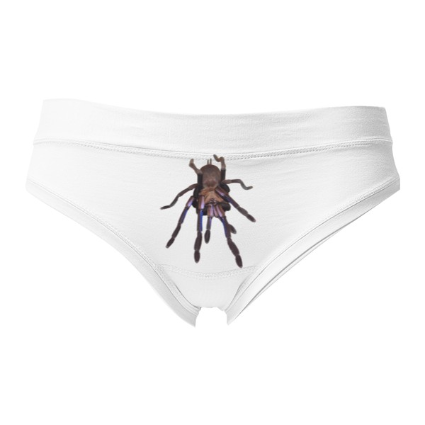 Chilobrachys natanicharum