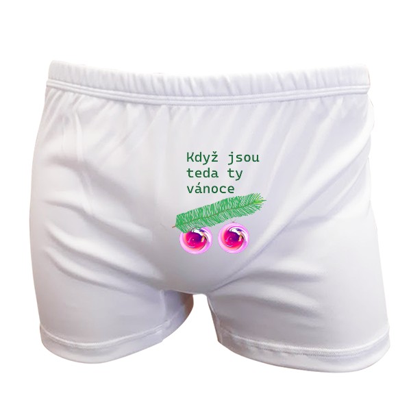 Christmas underpants