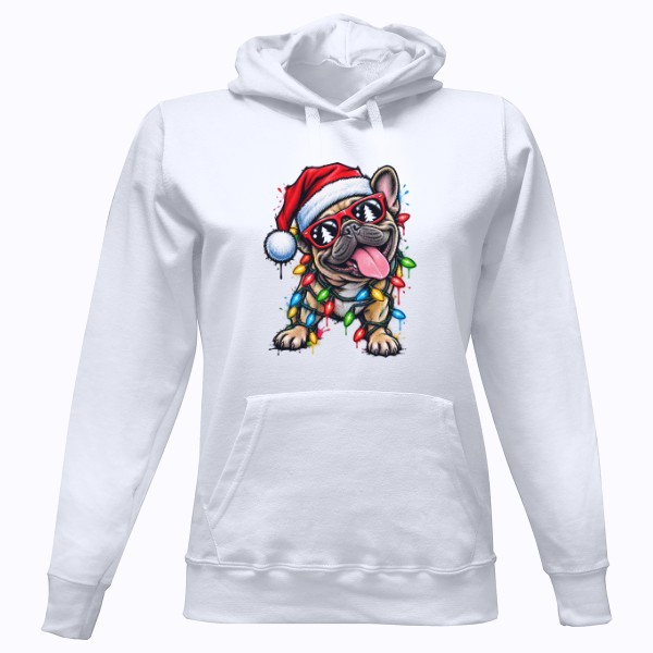 Ladies' hoodie Nový produkt