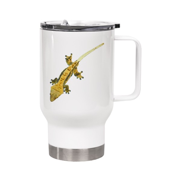 Correlophus ciliatus