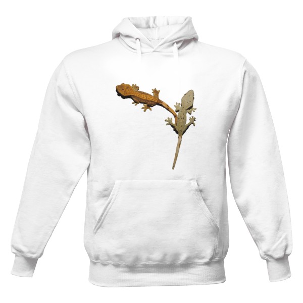 Men's hoodie s potiskem Correlophus ciliatus