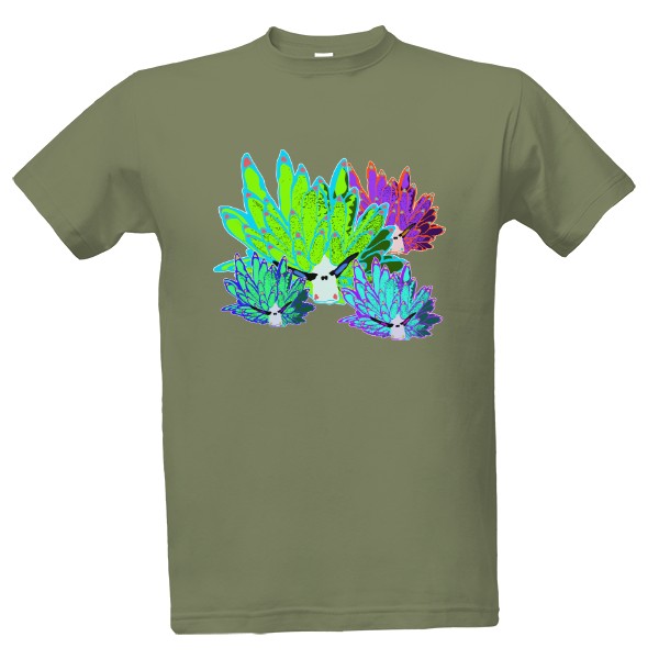 Costasiella kuroshimae