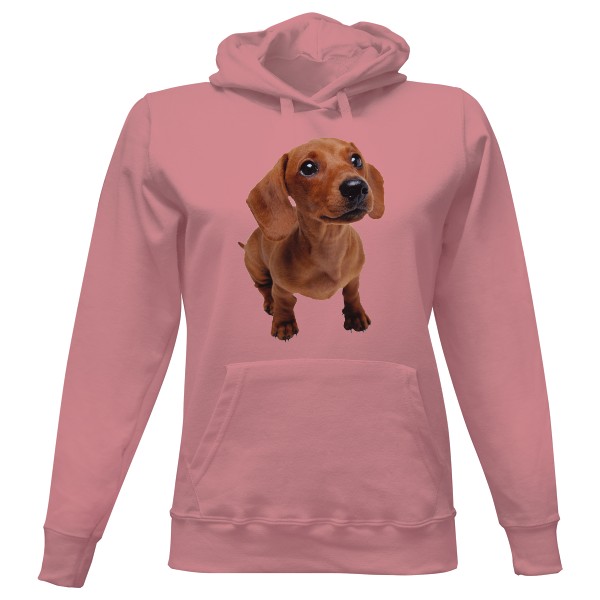 Dámská mikina s kapucí s potiskem Jezevčík