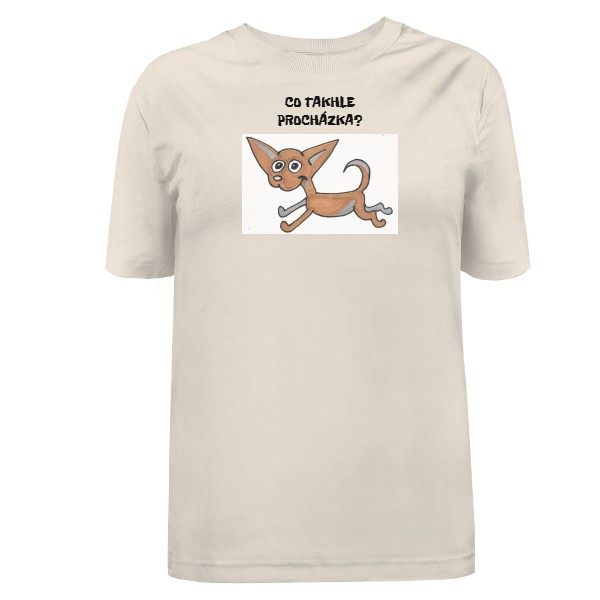 Tričko s potiskem Dámské triko Oversized CO TAKHLE PROCHÁZKA