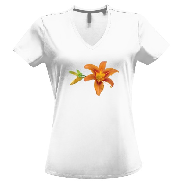 Tričko s potiskem Denivka