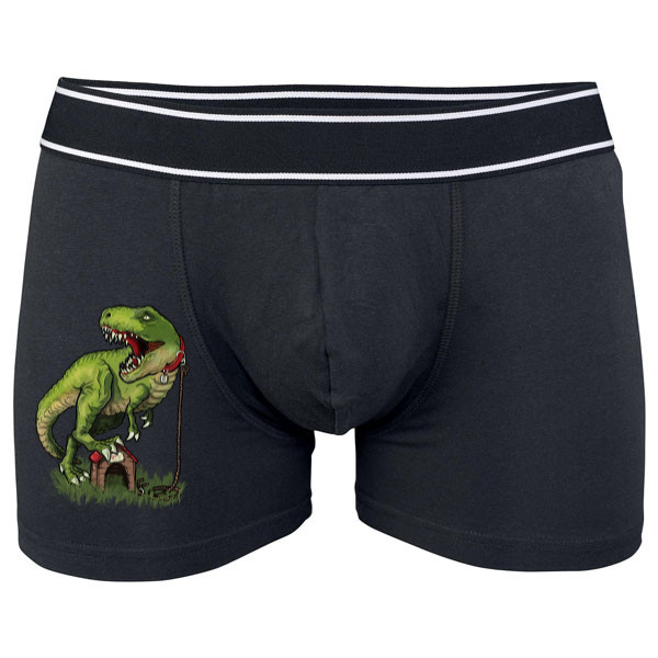 Boxerky Kariban s potlačou Dinosauří mazlíček