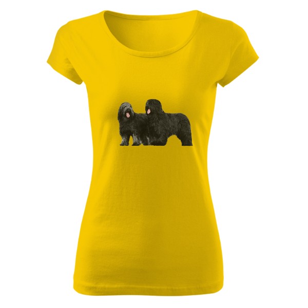 Tričko s potiskem Briard